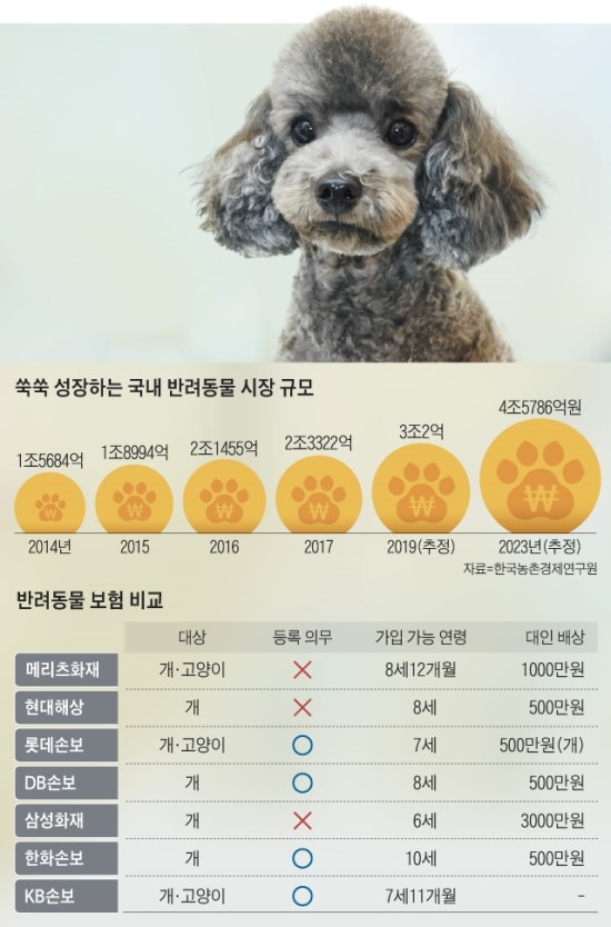 "주인님, 나이많은 개도 보험가입 된대요" "주인님, 나이많은 개도 보험가입 된대요"