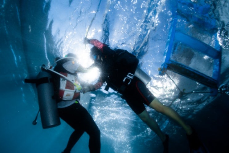 보라카이 스쿠버다이빙 교육 비용에 대한 개인적인 생각