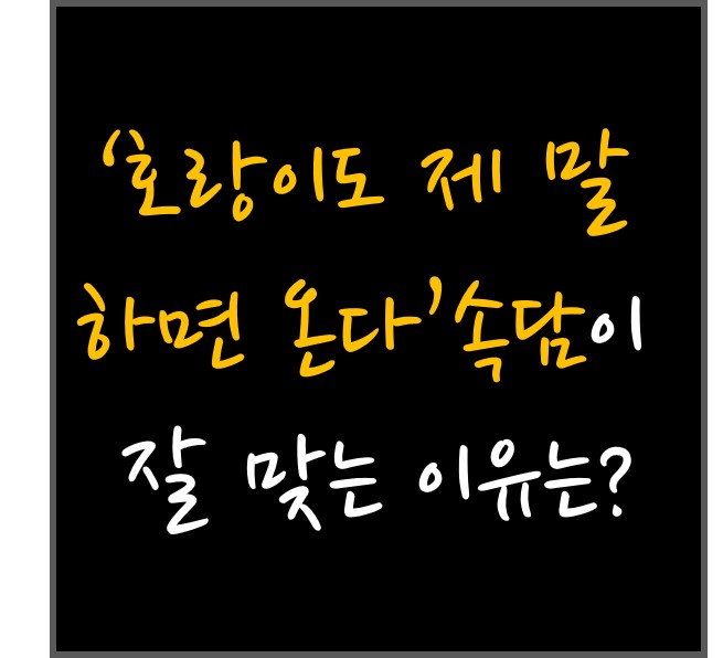  ‘호랑이도 제 말  하면 온다’ 속담이  잘 맞는 이유는?