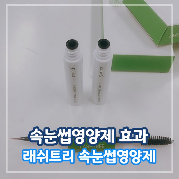 속눈썹영양제효과 좋아요:) 공구로 저렴하게 구입한 래쉬트리 아이래쉬