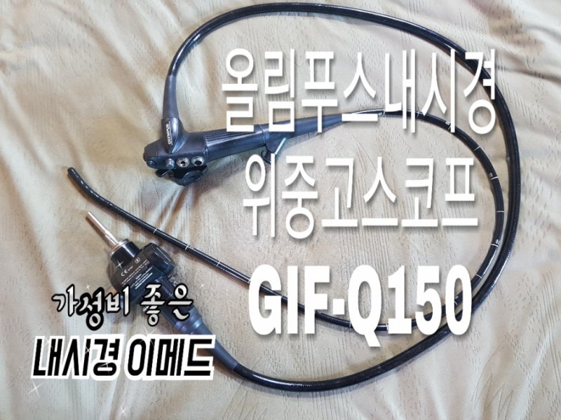 중고내시경 뱀 | 최근 핫이슈검색