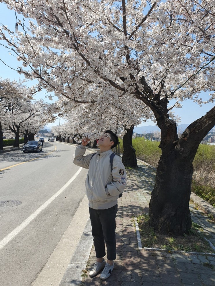  mbc생방송오늘아침/(이재훈,김시덕)나둘이간다/무계획여행/첫번째얻어걸린곳 강릉벚꽃축제^^