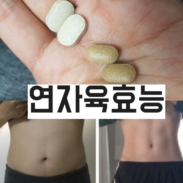  연자육 효능 먹는법(가격)따라 다이어트성공후기8kg