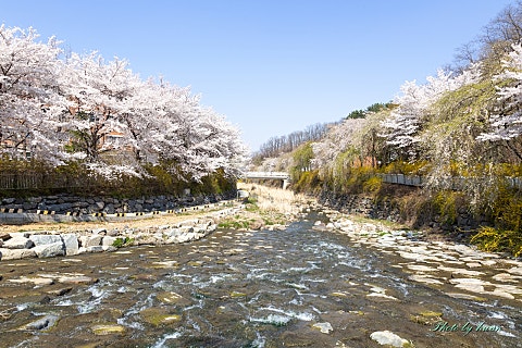 오늘참예쁘다(2) 이미지