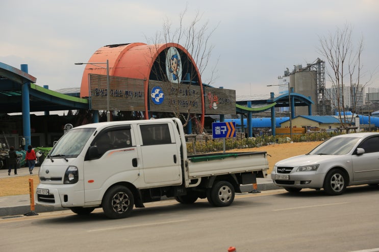  묵호항 옆 논골담길 벽화마을
