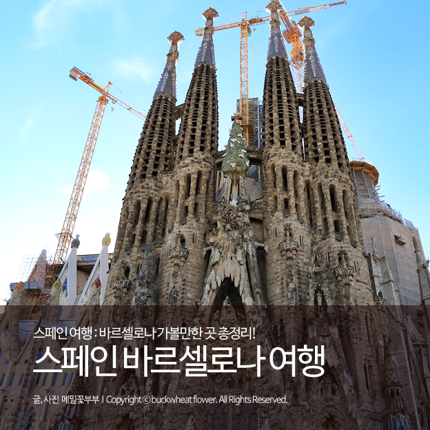  스페인 여행 : 매력적인 도시, 바르셀로나 여행 총정리 했어요!