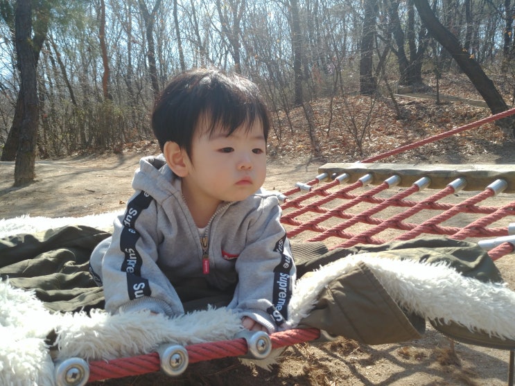  +311) 찡찡이