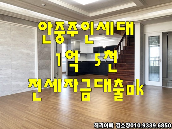  안중주인세대전세 전원주택 단독주택같은 뷰좋은집 송담쓰리룸전세 복층에도 방 화장실까지!