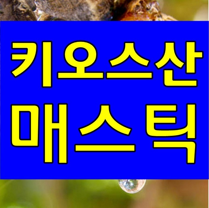  매스틱 효능과 가격 메스틱 분말 추천 안내 !