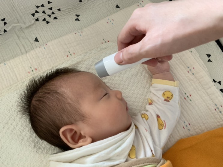  비접촉식 체온계 보령 써모체커 잘 맞아요