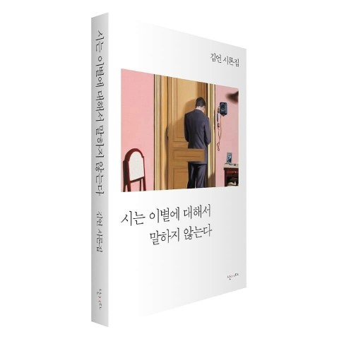  김언 시론집, [시는 이별에 대해서 말하지 않는다.], 출판사 난다, 표지 송은영 그림
