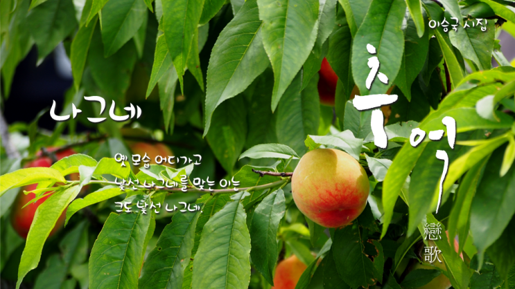  [추억이 있는 시이야기] 추억戀歌 - 나그네