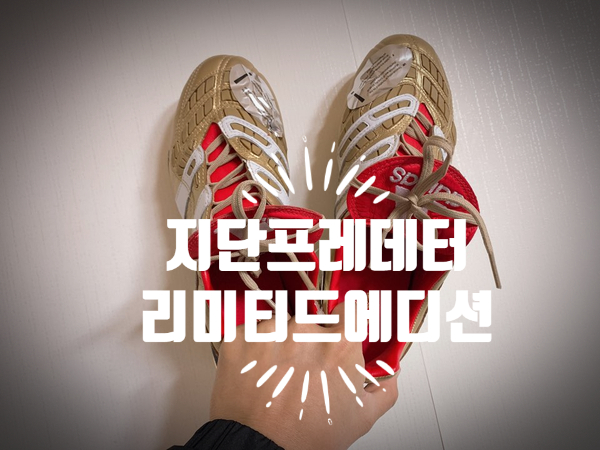  아디다스 지단 25주년 프레데터 엑셀레이터 리미티드 에디션