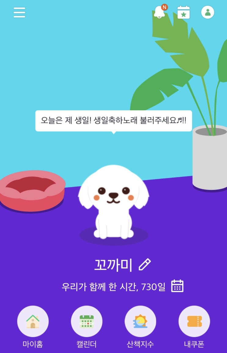 꼬까미 두 번째 생일 축하해 :) 꼬까미 두 번째 생일 축하해 :)