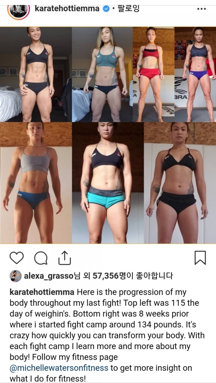 미셸 워터슨 감량 과정 사진 공개 미셸 워터슨 감량 과정 사진 공개