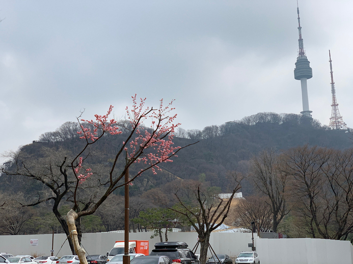  박광일 대표 강연 (사이버 외교사절단 반크 글로벌 홍보대사 발대식)
