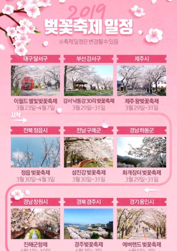  2019년 벚꽃축제 일정공유! 다들 따뜻한 봄이오고 좋겠다~~