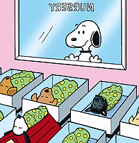  [마요 기록] 마요와의 첫 만남
