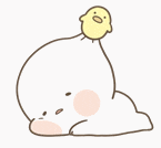  [CAS(Cloud Application Studio)] 개인 설정