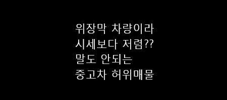  부천 중고차 허위매물 상담 일지 (feat.위장막 차량)