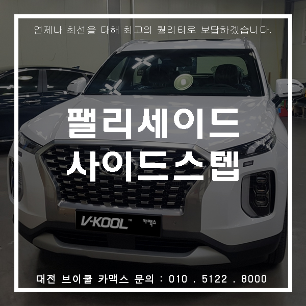  핫한 팰리세이드 대전브이쿨 카맥스에서 사이드스텝 장착기