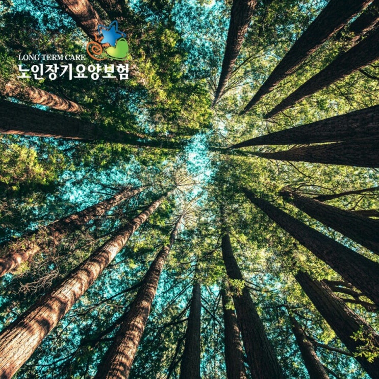  [입주간병 안내] 노인장기요양등급 받고 입주요양보호사 저렴하게 이용하기