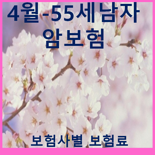  19년 04월 -64년생 55살남성 암진단비 보험사별 비교하기