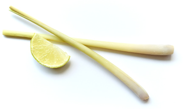  레몬그라스 에센셜오일(Lemongrass)