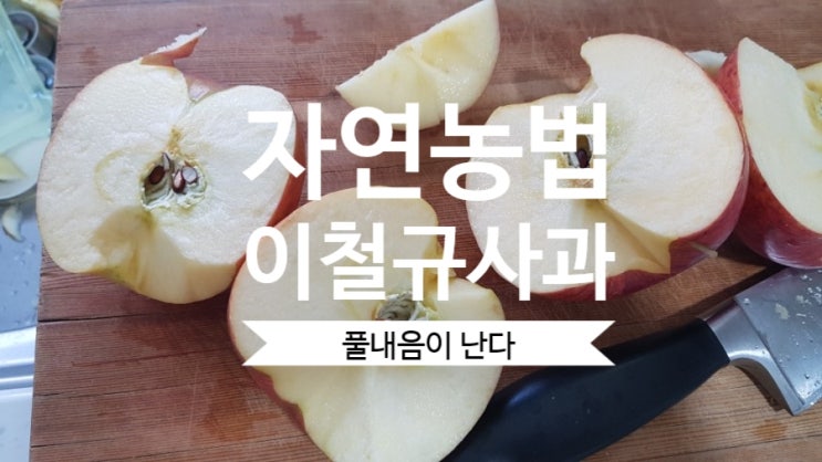  자연농법 이철규사과 풀내음이 난다