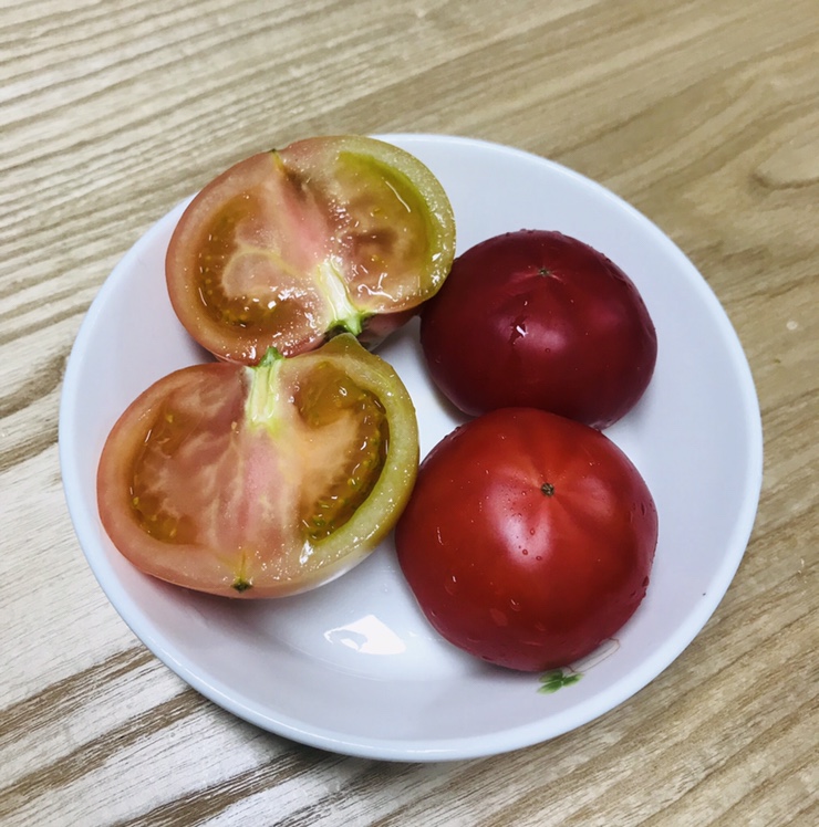  4월의 일상. 논문준비. 꺌랑 플랫슈즈. 사랑스러운 치타. 짭짤이토마토