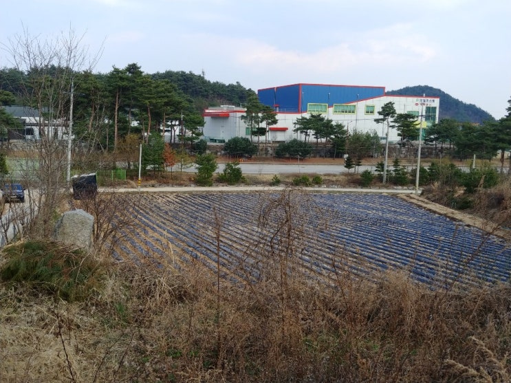  [강릉/대전동빌라부지]강릉과학산업단지토지,강릉시대전동토지,강릉대전동빌라부지,강릉대전동빌라부지/토지,강릉대전동다가구부지/토지,강릉전원주택부지/토지,강릉토지매매/