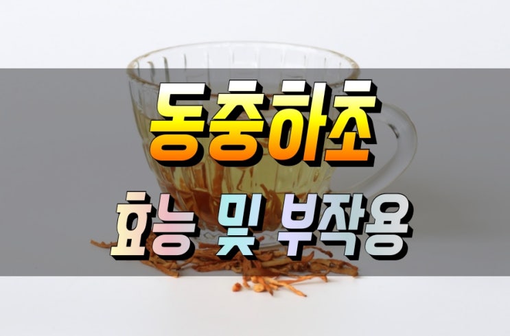  천연 자양강장제 동충하초 효능 심층분석
