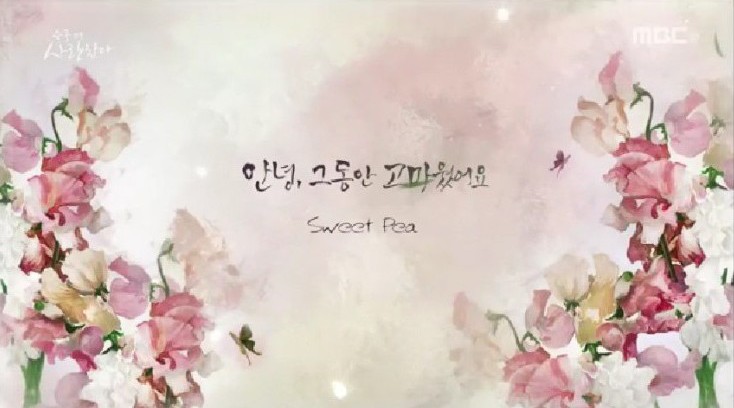  슬플 때 사랑한다 25회~28회, 안녕, 그동안 고마웠어요 스위트피