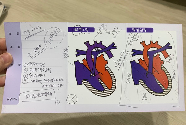  (2) 팔로사징증 확정