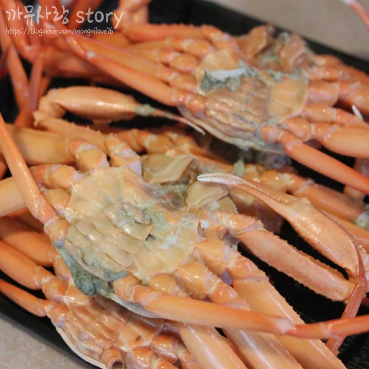 부산홍게무한리필 맛있는 홍게 제대로먹고온 정관신도시맛집 영남수산