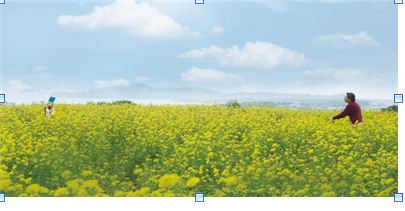  치매 관련 영화 추천 '계춘할망'
