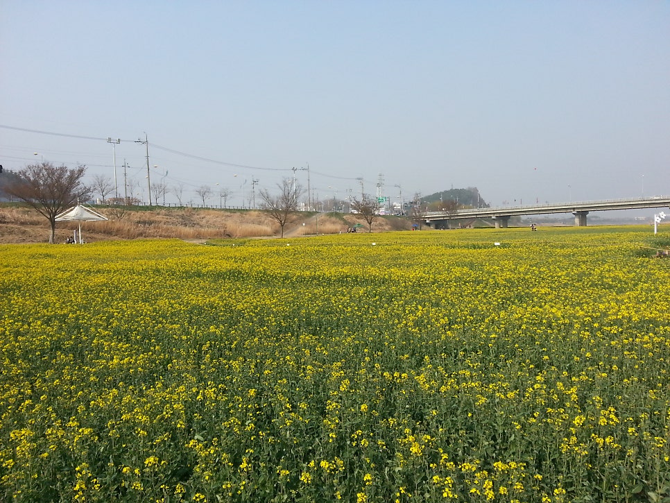 등용산 사진 1