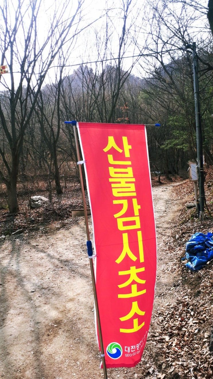  산불예방 대전서구 행복동행 산불제로화