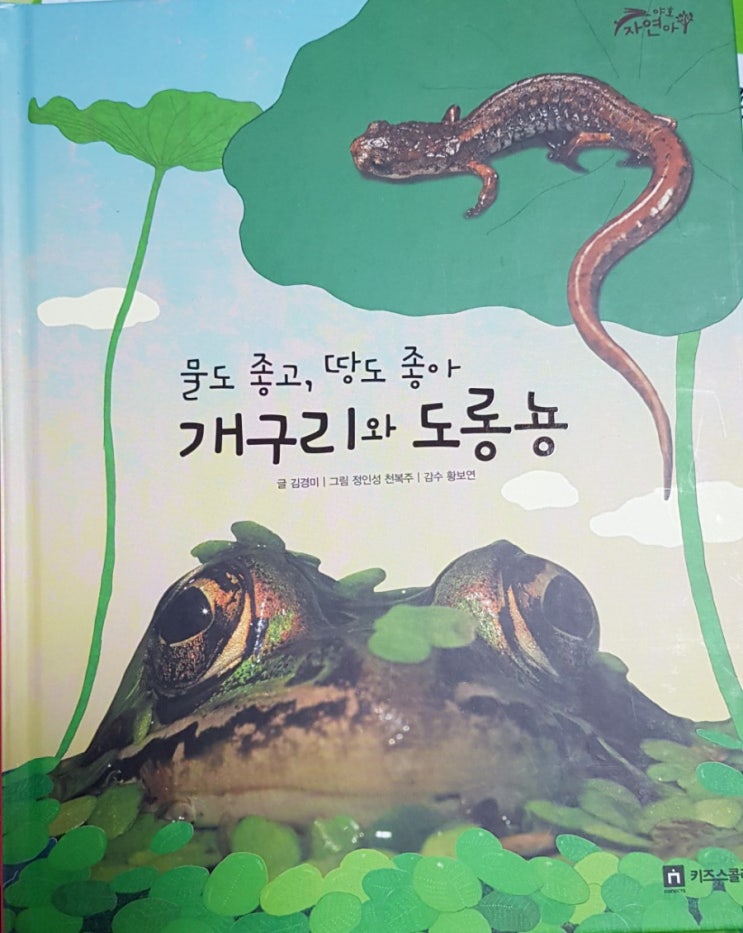  3-1.야호자연아[개구리와도롱뇽]