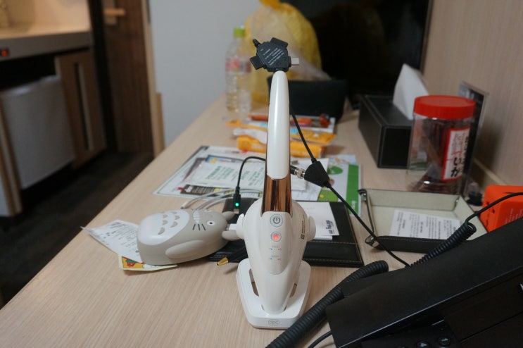 DPC스킨아이론 1개월 사용후기
