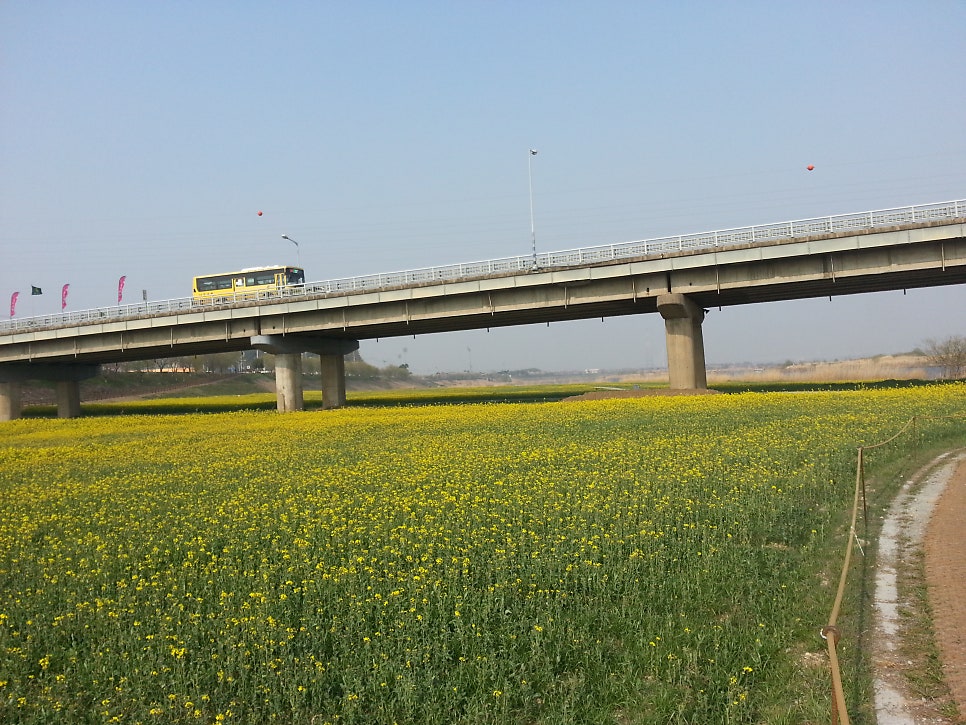 등용산 사진 6