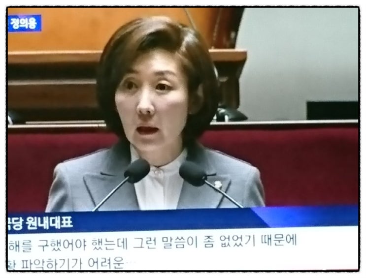  [나경원, 강원산불] 안보실장을 3시간 인질잡고 국민 안전 모르쇠, 나경원 원내대표 함량 미달