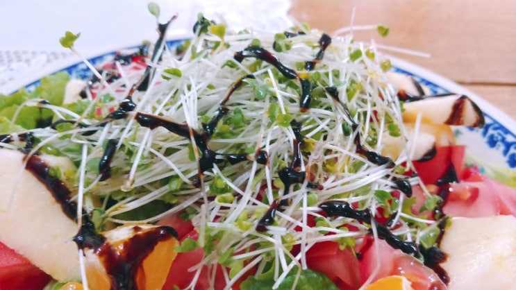 [새싹채소]브로콜리 새싹 첫 수확, 새싹채소 샐러드로 만든 주말 아침 건강식단