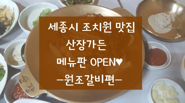  [세종시 조치원 숯불돼지갈비 맛집]산장가든 메뉴판 공개(원조갈비편/생방송투데이 맛집)