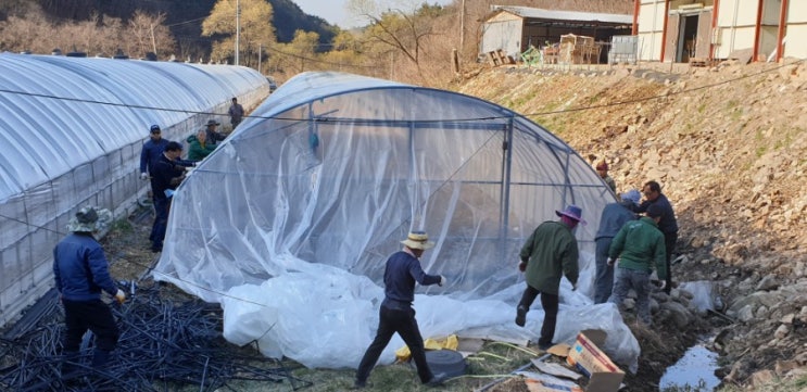  봄맞이 대청소 환경미화, 돌나라 한농마을 행복 댓바람  불던 날