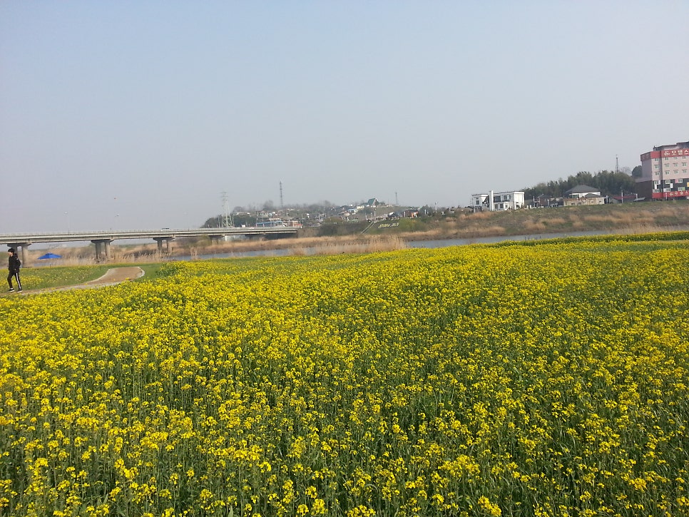 등용산 사진 2