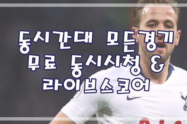  천성훈중계 분데스리가 아우크스부르크 호펜하임 4월7일 분석중계