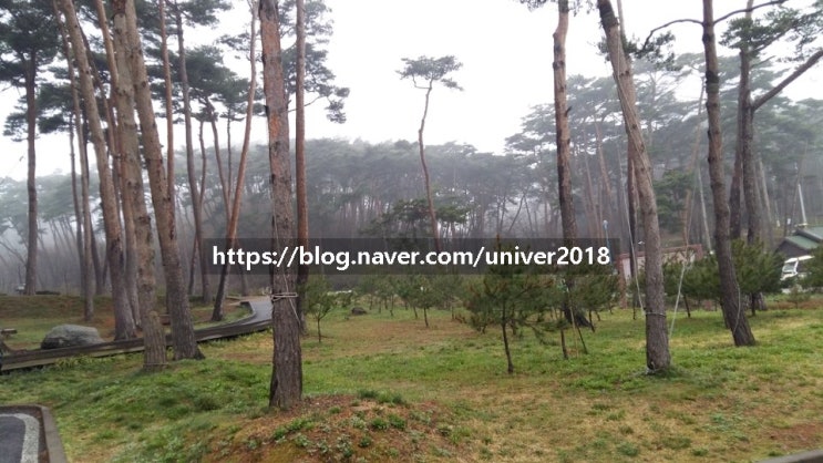  안면도자연휴양림/꽃지해수욕장/안면암/간월암/유채꽃