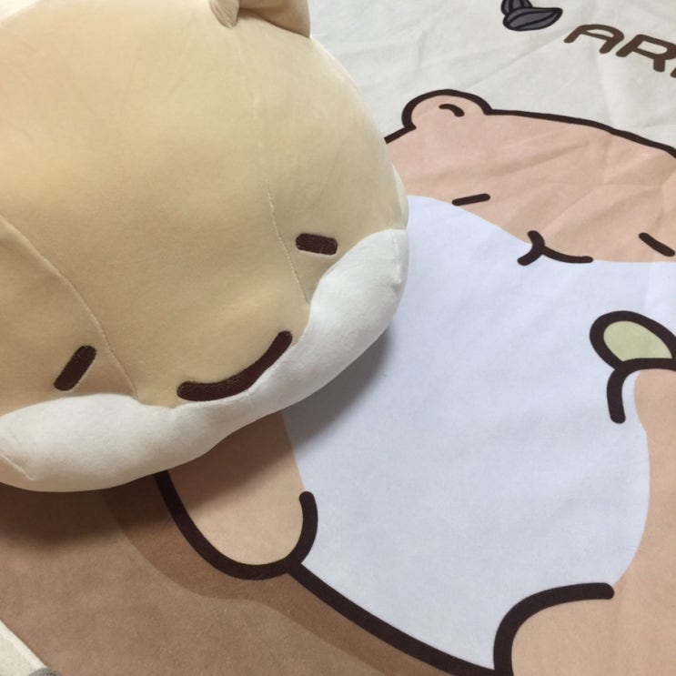  보기만 해도 기분이 좋아지는 아라찌인형 60cm 구매후기