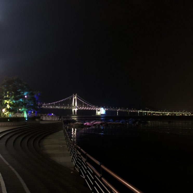  부산 1박2일 여행코스 : 2일차 코스 2탄, 완벽! +경비 (깡통시장&국제시장/보수동책방골목/봉수대야경/광안리해수욕장/해성막창/더베이101)